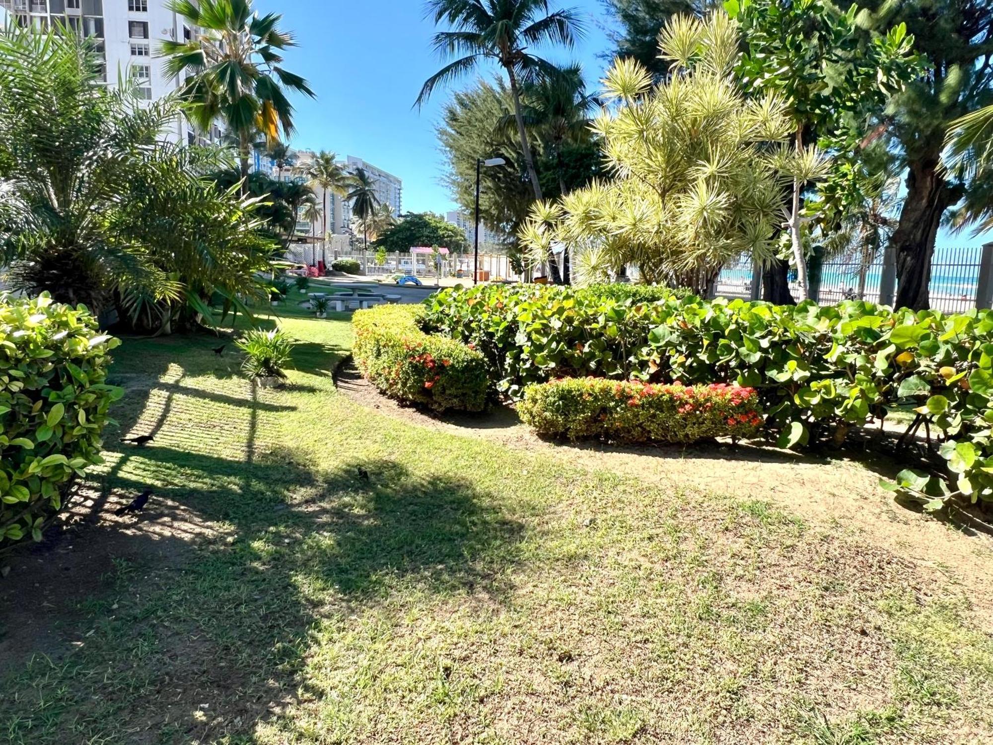 Ocean View Apt On Isla Verde In A 14Th Floor San Juan Esterno foto